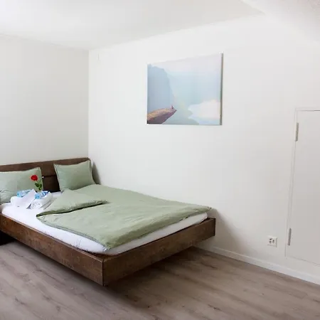 Séjour chez l'habitant Rustico - Simple -- Olma Messen & Autobahn 1 Min, Hsg 6 Min, Spital 7min, Guenstige Parkplaetze Saint-Gall