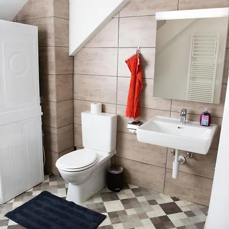 Homestay Simpel Vintage Rustica Naehe Uni, Olma, Spital *