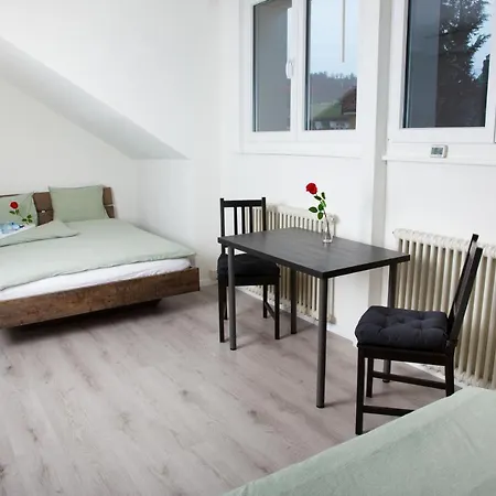 Rustico - Simple -- Olma Messen & Autobahn 1 Min, Hsg 6 Min, Spital 7min, Guenstige Parkplaetze