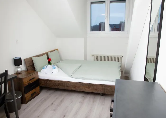 Rustico - Simple -- Olma Messen & Autobahn 1 Min, Hsg 6 Min, Spital 7min, Guenstige Parkplaetze *