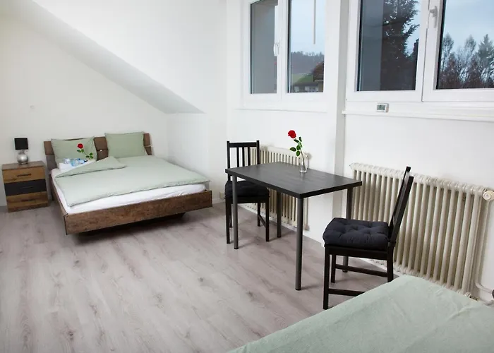 Rustico - Simple -- Olma Messen & Autobahn 1 Min, Hsg 6 Min, Spital 7min, Guenstige Parkplaetze