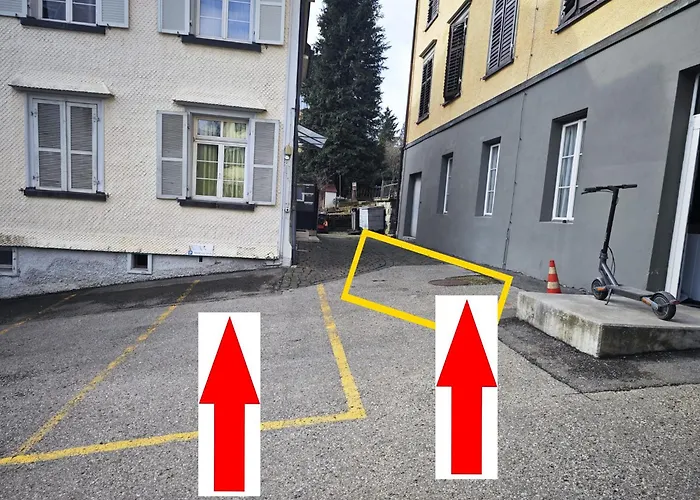 Rustico - Simple -- Olma Messen & Autobahn 1 Min, Hsg 6 Min, Spital 7min, Guenstige Parkplaetze *