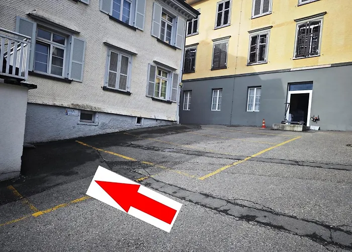 Rustico - Simple -- Olma Messen & Autobahn 1 Min, Hsg 6 Min, Spital 7min, Guenstige Parkplaetze *