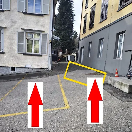 Rustico - Simple -- Olma Messen & Autobahn 1 Min, Hsg 6 Min, Spital 7min, Guenstige Parkplaetze *